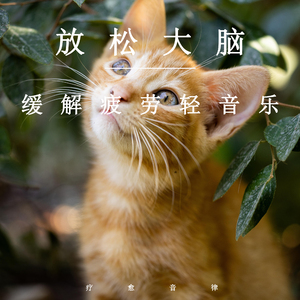 乱人妻人伦中文字幕
