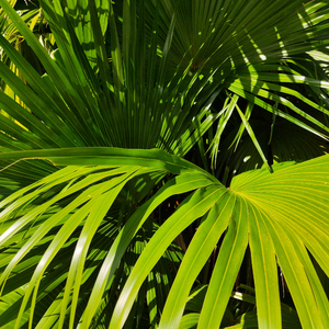 乱人妻人伦中文字幕
